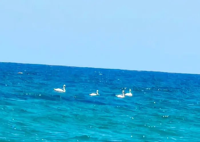 Kasndra Byala (Varna)