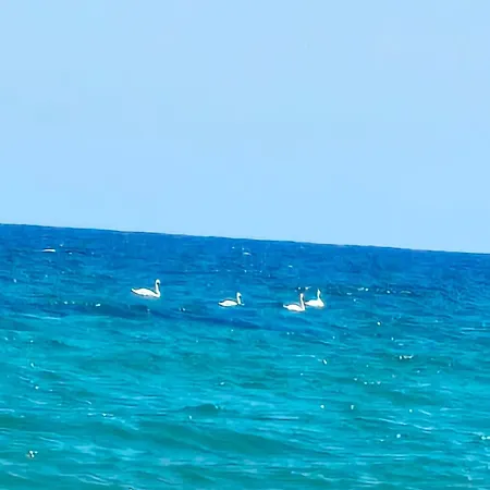 Kasandra Byala (Varna)